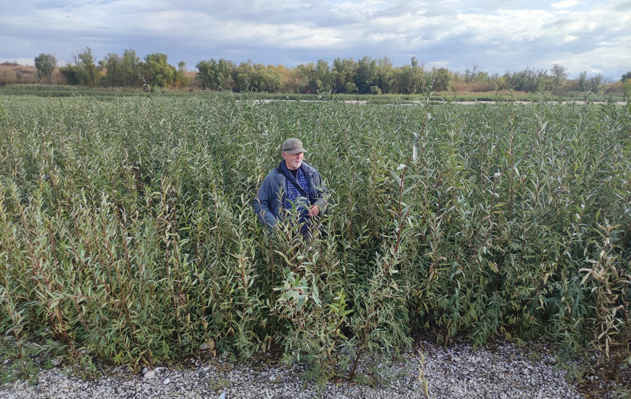 Академик НАН: На месте Каховского водохранилища за 20 лет вырастет уникальный лес